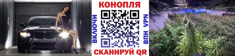 Канабис Ganja Пионерский